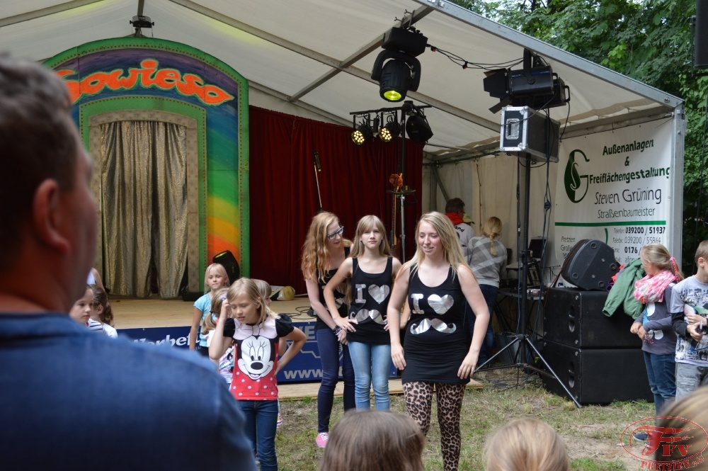 Steinhafenfest 2014_45