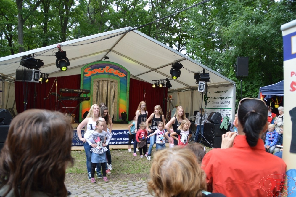 Steinhafenfest 2014_46