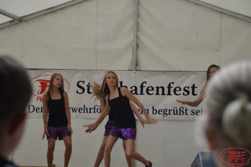 Steinhafenfest 2015_34