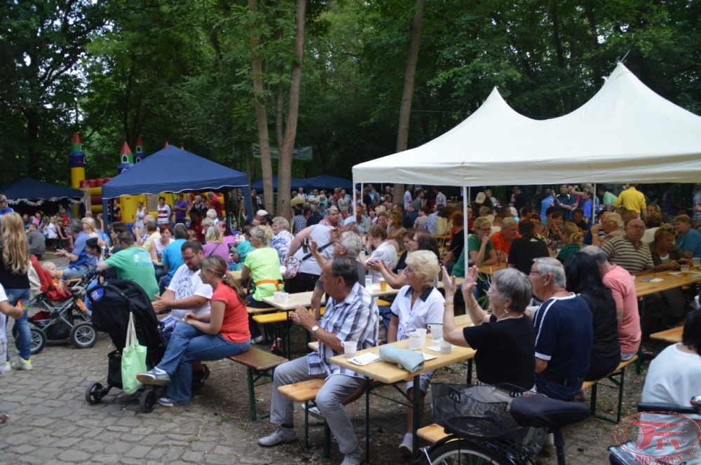 Steinhafenfest 2015_53